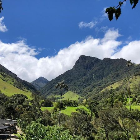 Cabanas Valle Del Cocora La Truchera Salento Exteriér fotografie