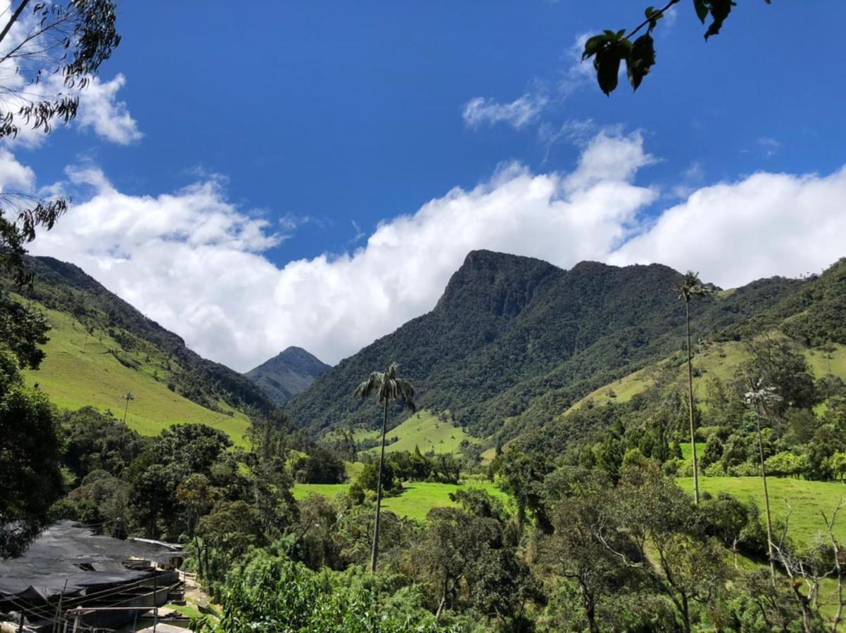 Cabanas Valle Del Cocora La Truchera Salento Exteriér fotografie
