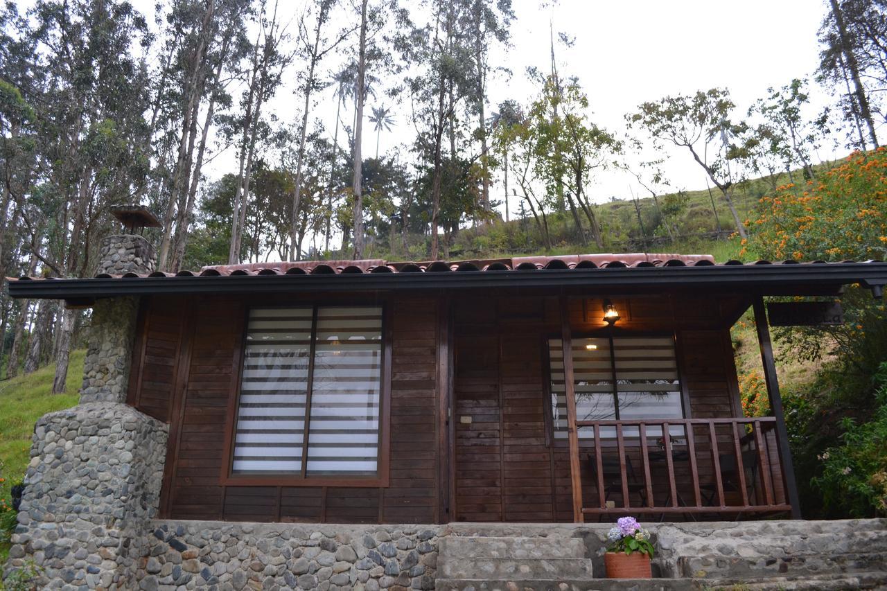 Cabanas Valle Del Cocora La Truchera Salento Exteriér fotografie
