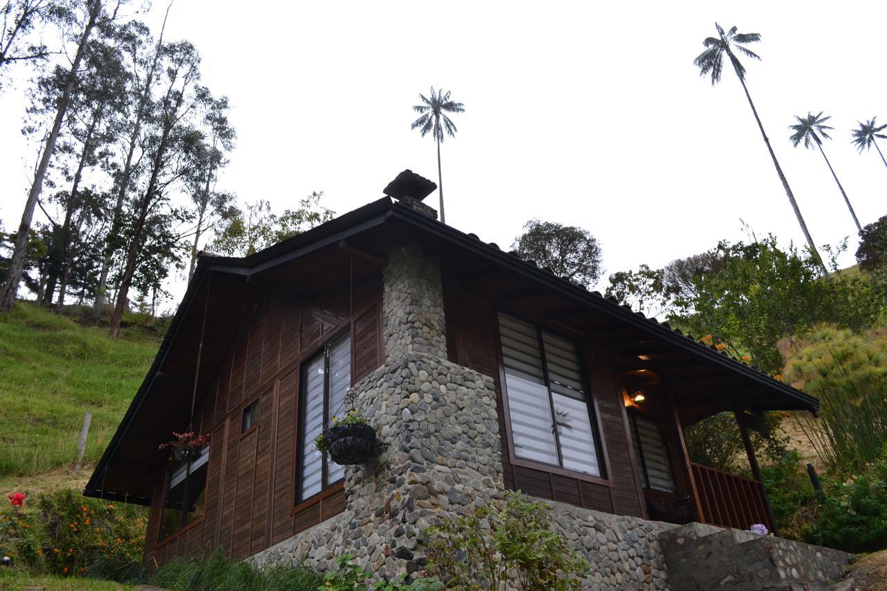 Cabanas Valle Del Cocora La Truchera Salento Exteriér fotografie