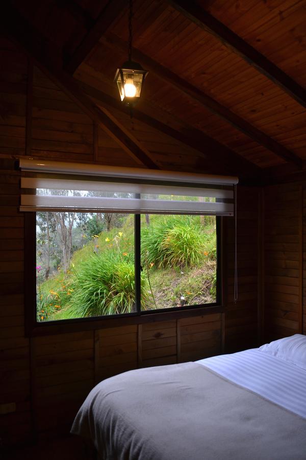 Cabanas Valle Del Cocora La Truchera Salento Exteriér fotografie