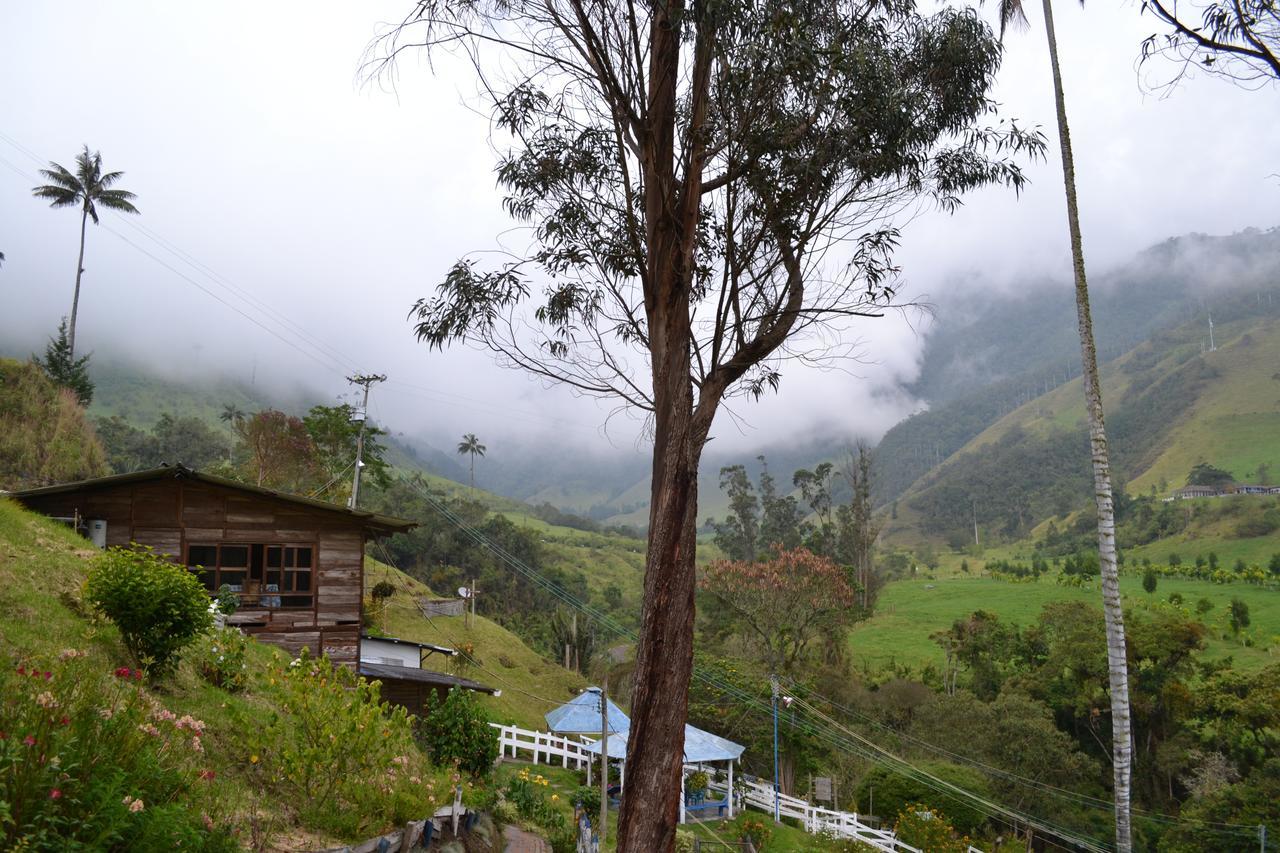 Cabanas Valle Del Cocora La Truchera Salento Exteriér fotografie