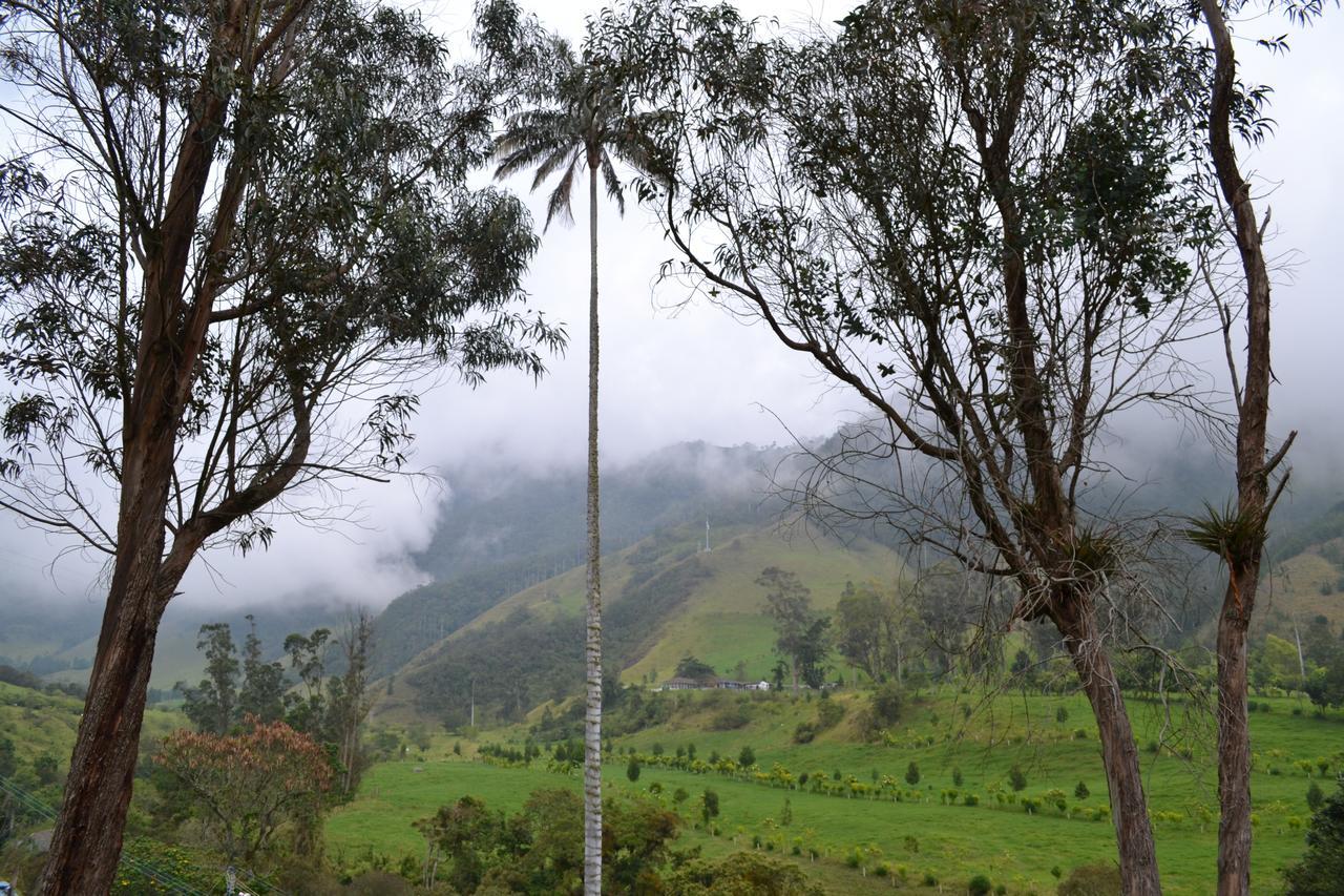 Cabanas Valle Del Cocora La Truchera Salento Exteriér fotografie