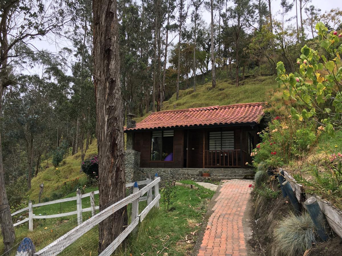 Cabanas Valle Del Cocora La Truchera Salento Exteriér fotografie