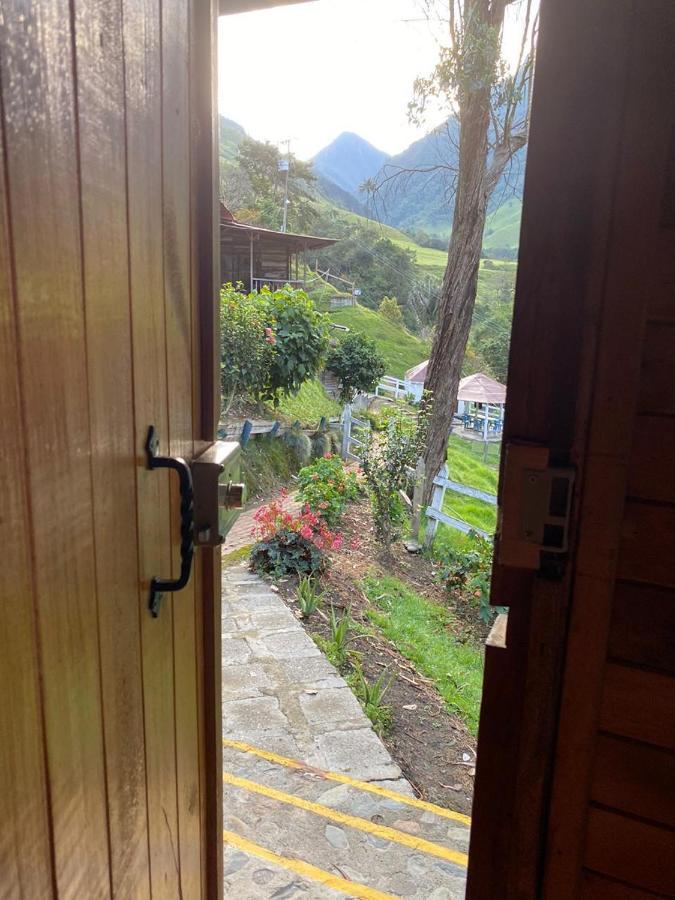 Cabanas Valle Del Cocora La Truchera Salento Exteriér fotografie