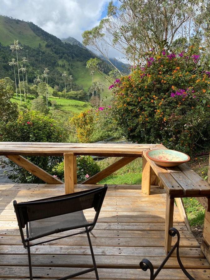 Cabanas Valle Del Cocora La Truchera Salento Exteriér fotografie