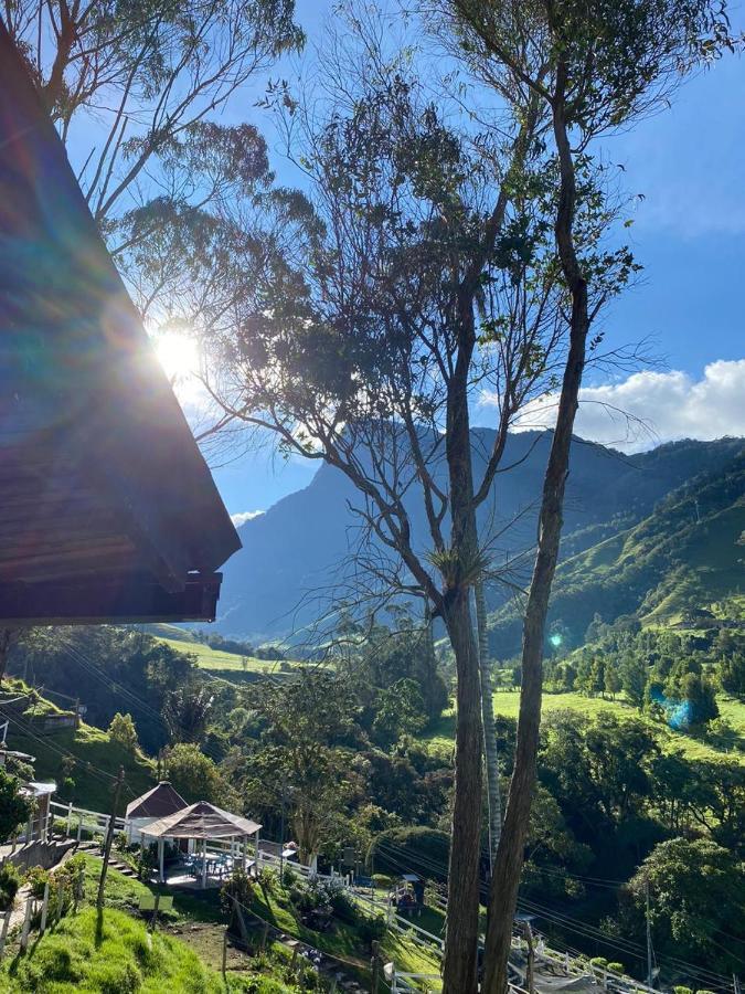 Cabanas Valle Del Cocora La Truchera Salento Exteriér fotografie