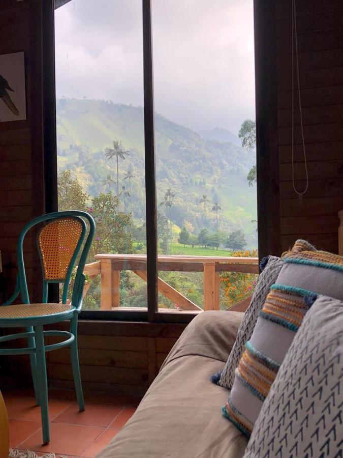 Cabanas Valle Del Cocora La Truchera Salento Exteriér fotografie