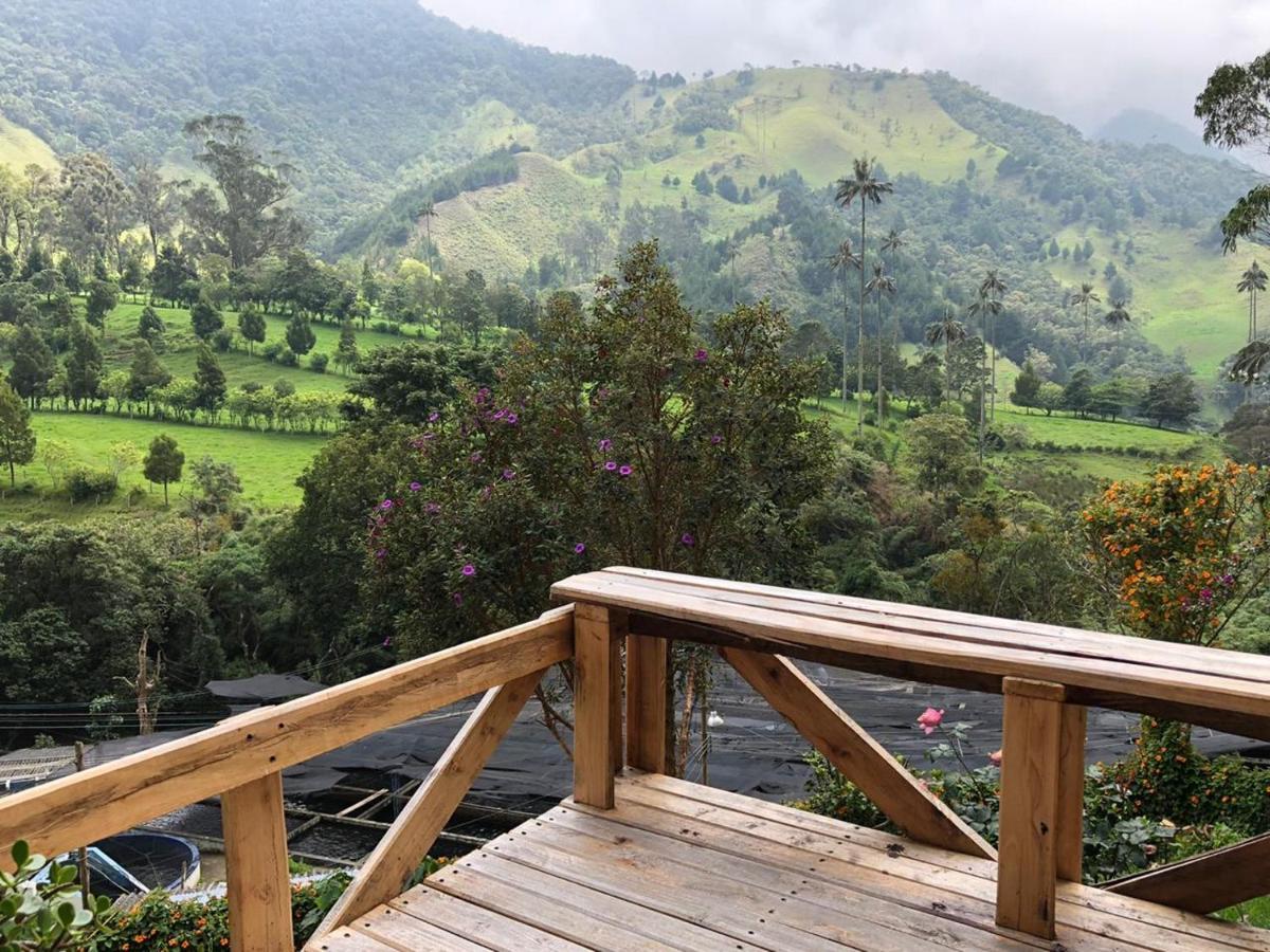 Cabanas Valle Del Cocora La Truchera Salento Exteriér fotografie