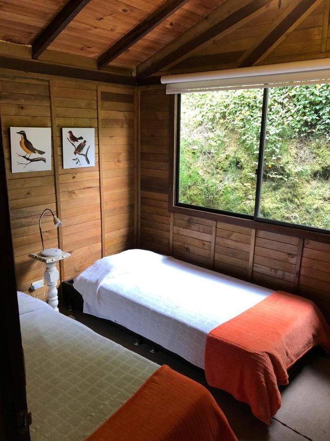 Cabanas Valle Del Cocora La Truchera Salento Exteriér fotografie