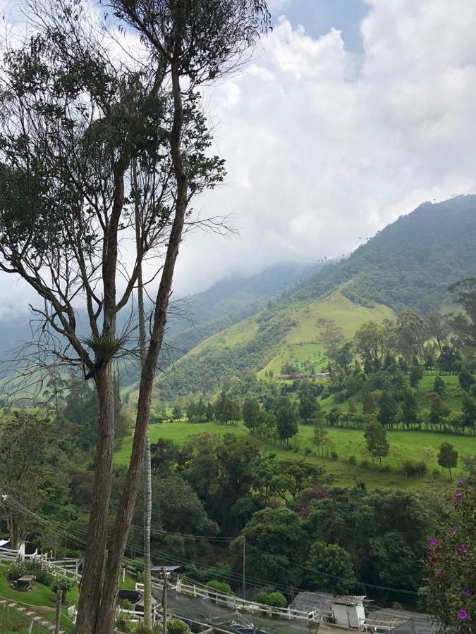 Cabanas Valle Del Cocora La Truchera Salento Exteriér fotografie