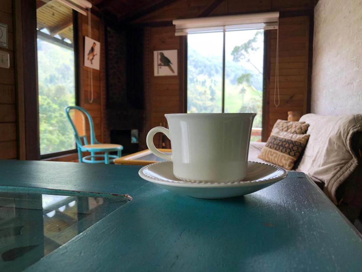 Cabanas Valle Del Cocora La Truchera Salento Exteriér fotografie