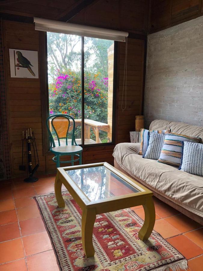 Cabanas Valle Del Cocora La Truchera Salento Exteriér fotografie