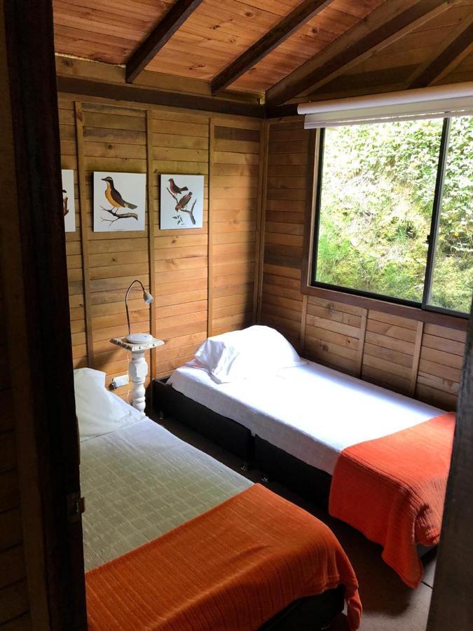Cabanas Valle Del Cocora La Truchera Salento Exteriér fotografie