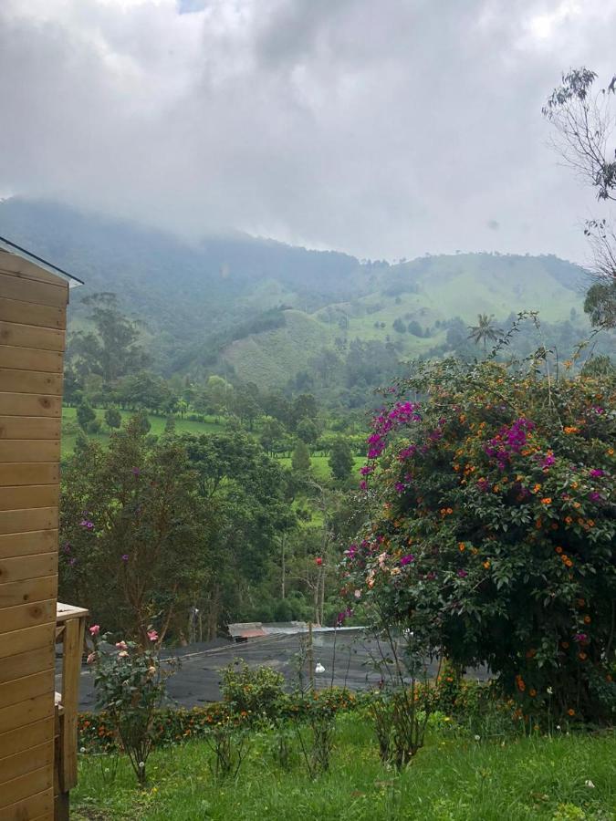 Cabanas Valle Del Cocora La Truchera Salento Exteriér fotografie